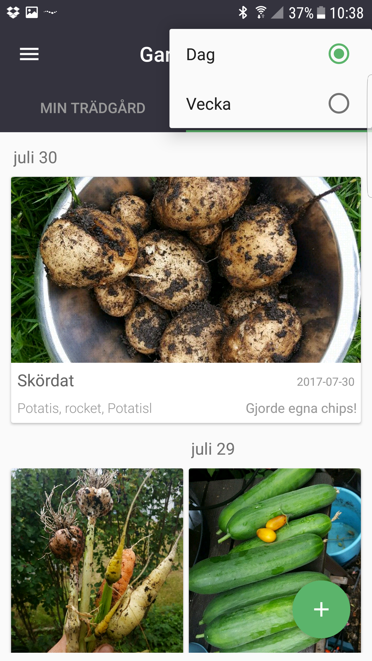 App För Att Identifiera Växter