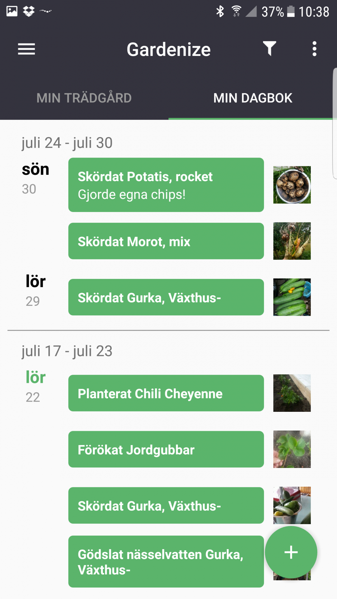 App För Att Identifiera Växter