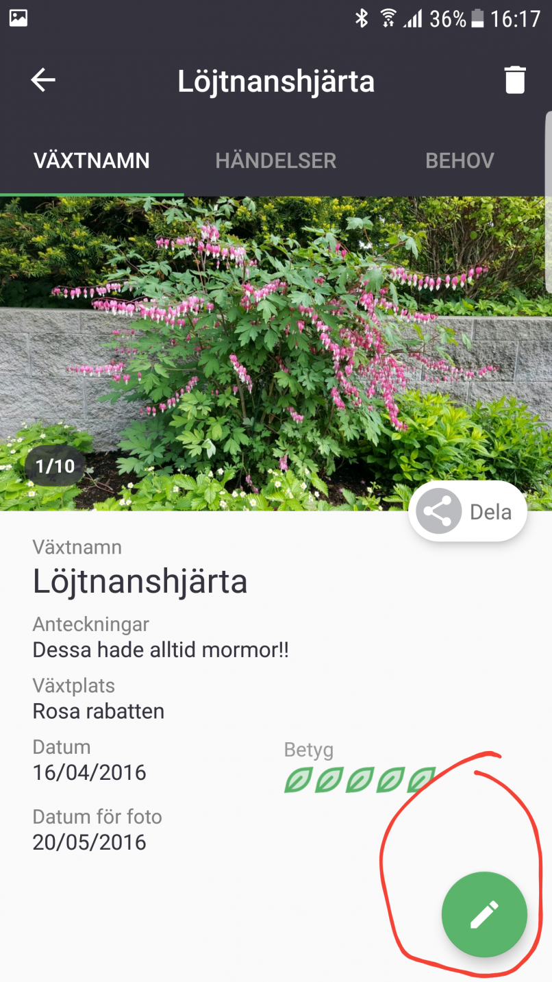 App För Att Identifiera Växter