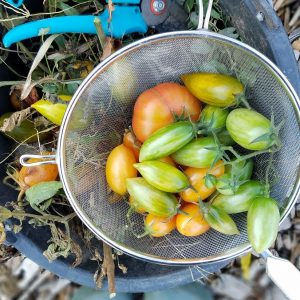 20181103_140144 To do liste im garten