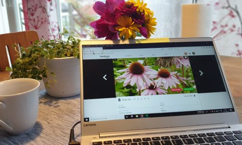 Gardenize plus köksbord trädgården i december