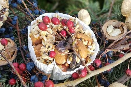 Fågelmal Einen Futter- und Wasserplatz für Vögel einzurichten