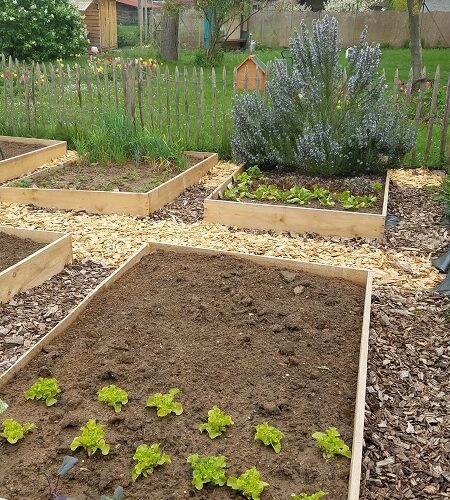 20190427_115335 April – To Do Liste für deinen Garten