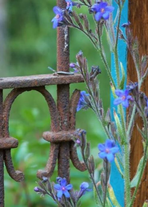 Garden garden