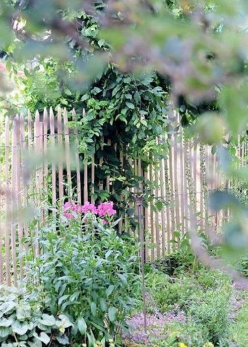 garden Garden