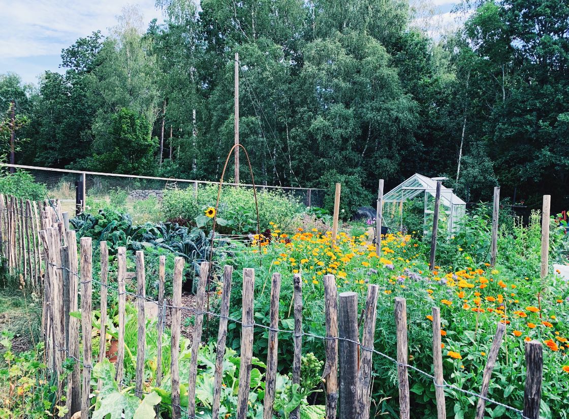 Garden Planera odlingsåret