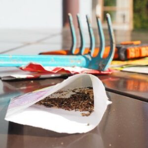 Sowing seeds Sowing seeds