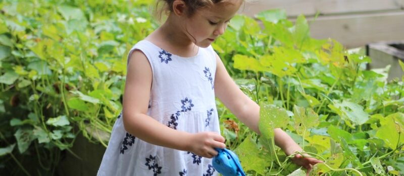 gardening-for-good-sustainability gardening-for-good-sustainability