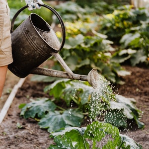 watering-garden watering-garden