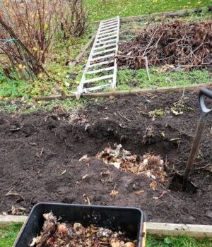 Mulching Mulching