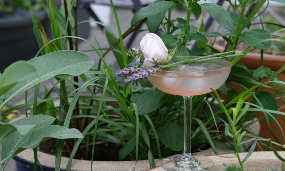 Coctail and herbs in containers Cocktail container gardening