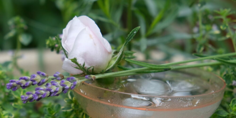 Coctail CONTAINER GARDEN WITH A PURPOSE: THE COCKTAIL CONTAINER