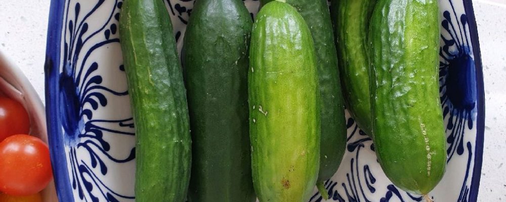 for-pickles for-pickles