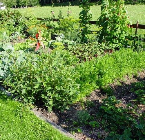 Garden Garden