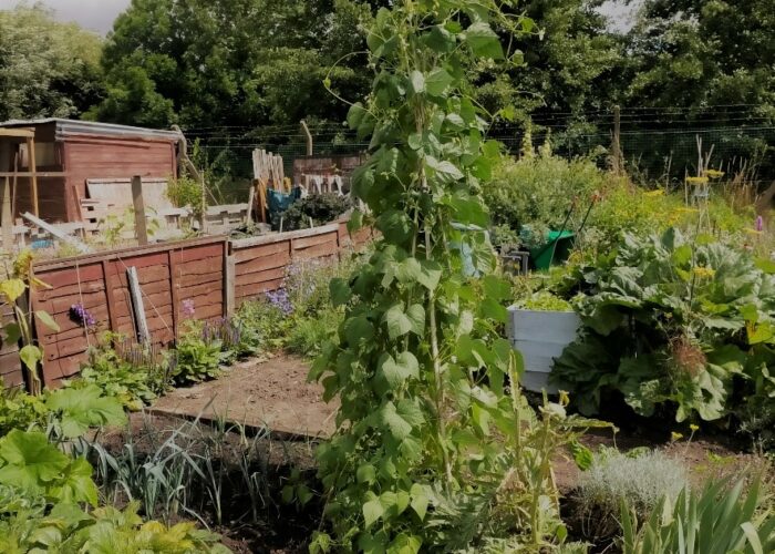 Gardens pic 2 Gardens pic 2