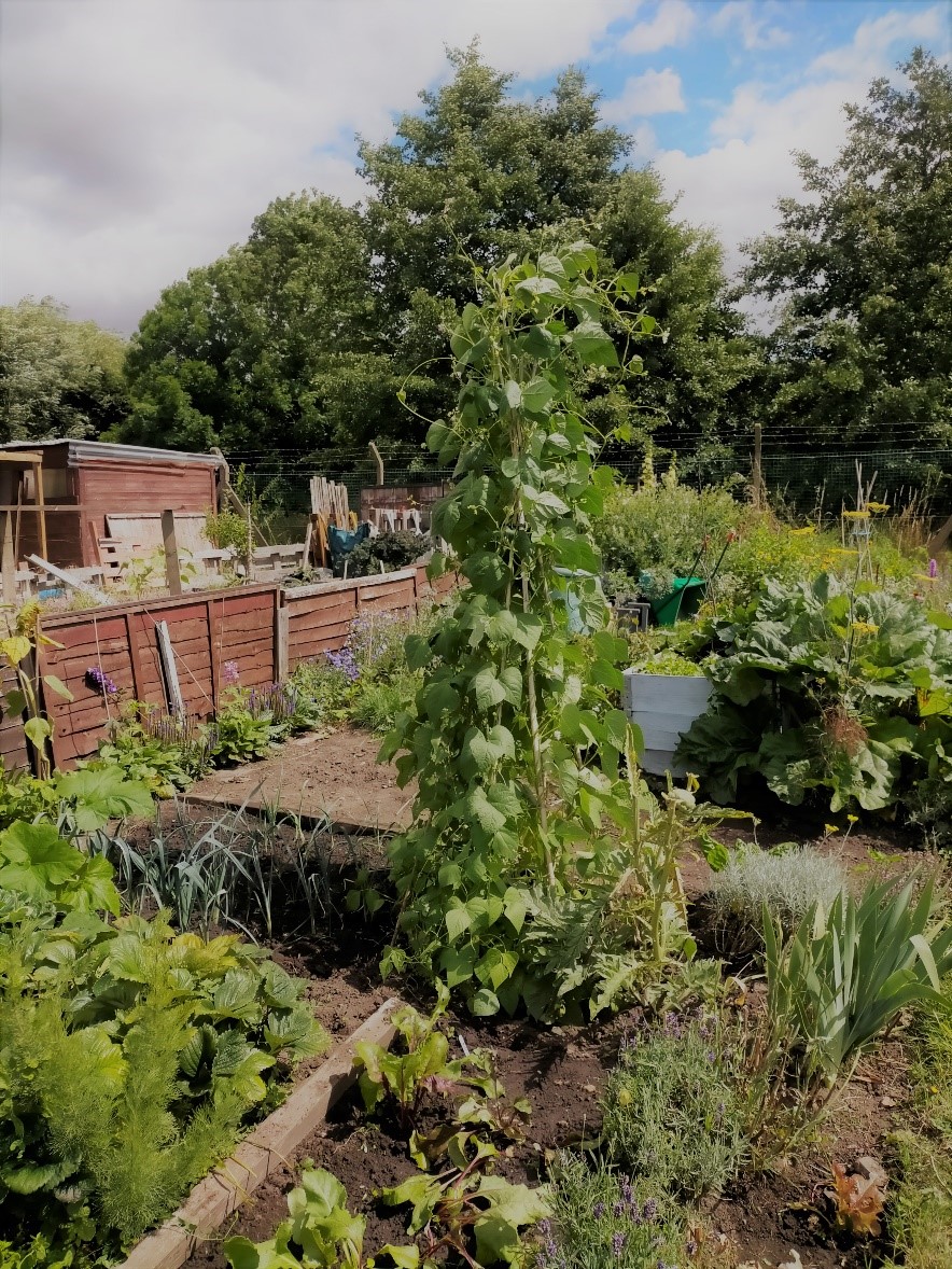 Gardens pic 2 - Gardenize