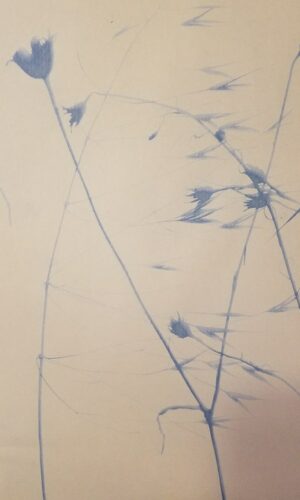 SOLARPAPIER SOLARPAPIER