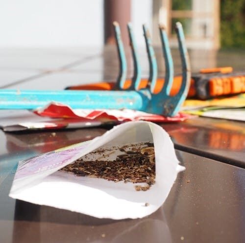 soeing seeds soeing seeds