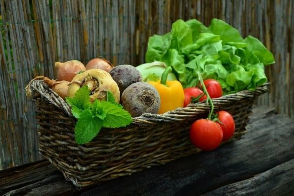 veggies veggies