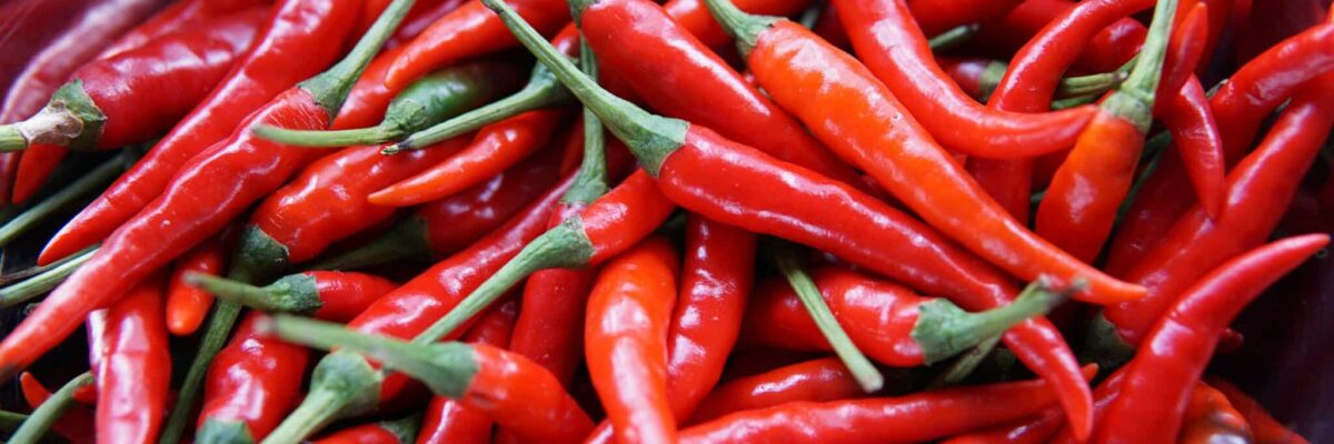 Chili-unsplash-2 Chili peppar