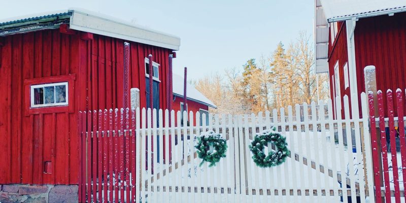en vinterfin trädgård en vinterfin trädgård