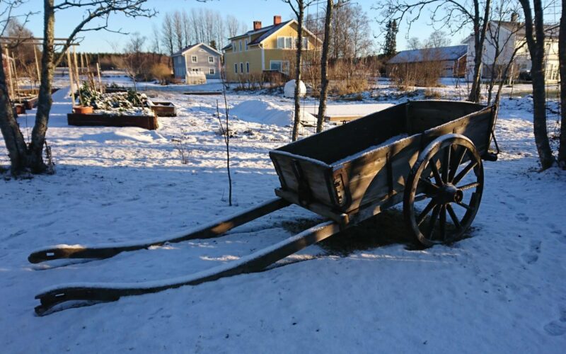 Vagn i tradgard - gardnize Vagn i snotackt tradgard