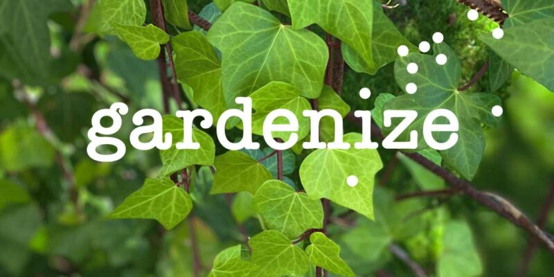 1080x1080-new-gardenize-ivy Gardenize garden app