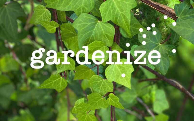 1080x1080-new-gardenize-ivy Gardenize garden app