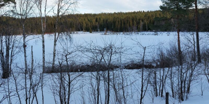 Vinter och vila i norr Vinter och vila i norr