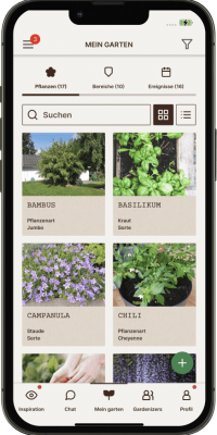 plants card view DE plants card view