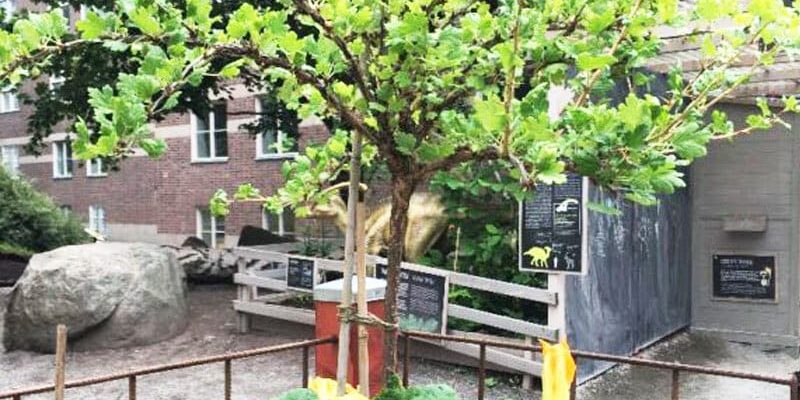 6-800x1000px-gardenize-uppstammad-krusbar-pumpa-ulrika-flodin-furas 6-800x1000px-gardenize-uppstammad-krusbar-pumpa-ulrika-flodin-furas