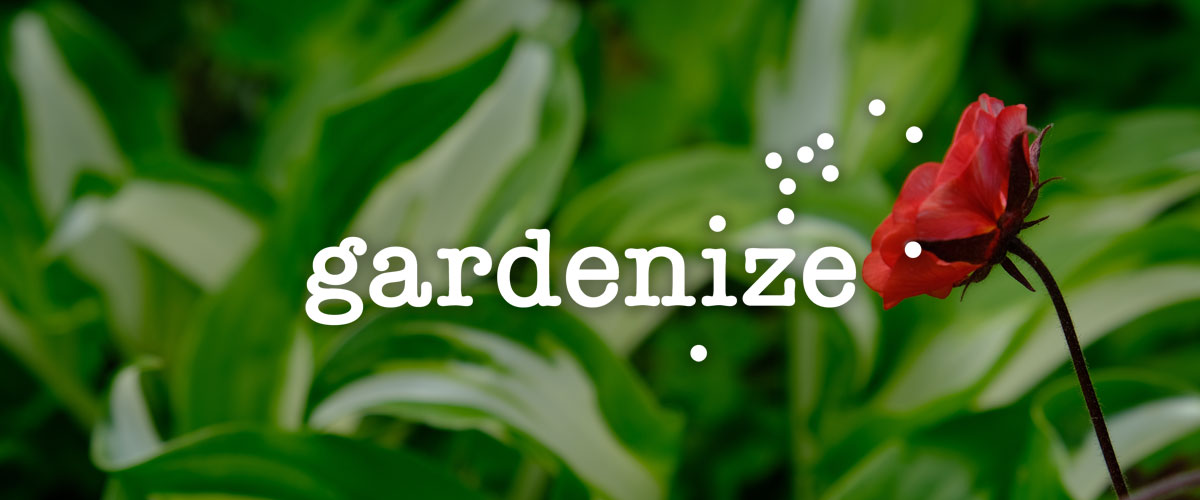 1200x500-gardenize-flower-logo Gardenize gardening app