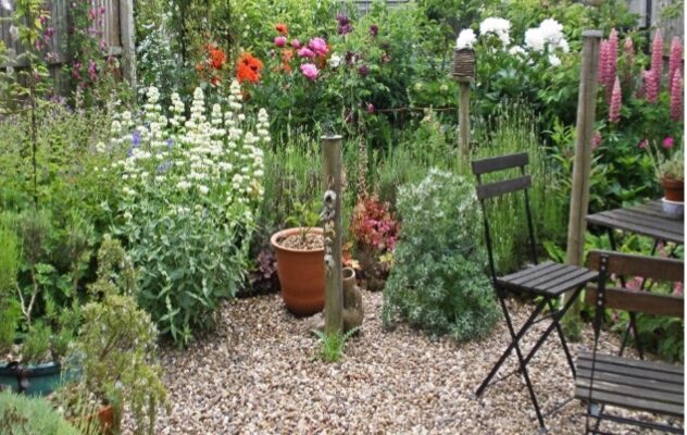 backyard backyard