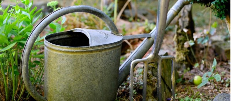 watercan watercan