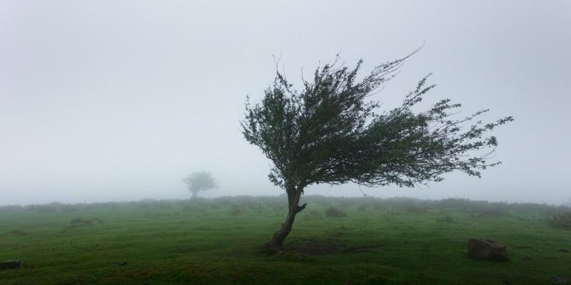 khamkeo-vilaysing-WtwSsqwYlA0-unsplash khamkeo-vilaysing-WtwSsqwYlA0-unsplash