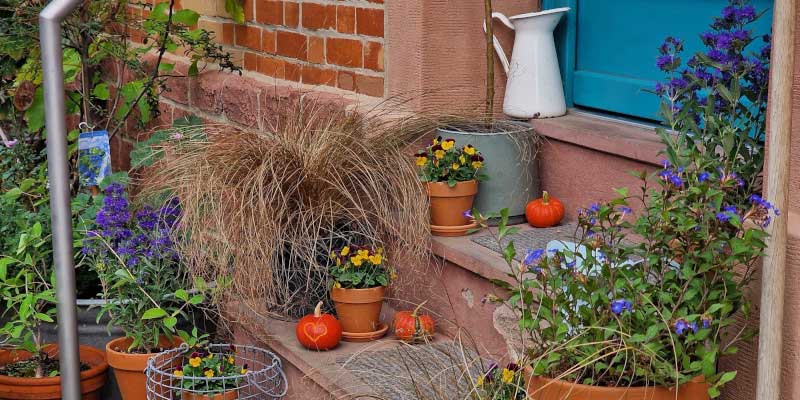 1-800x400px-gardenize-herbstdeko-treppe Herbstdeko - Gardenize