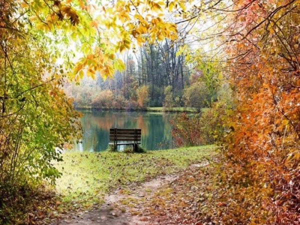 1-800x600px-gardenize-fall-nature