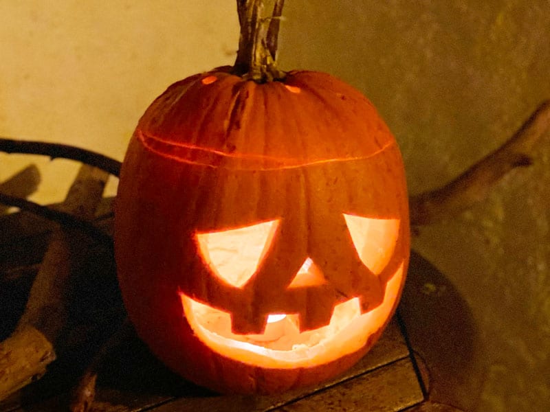 800x600px-gardenize-halloweenpumpa Gör din egen Halloweenpumpa