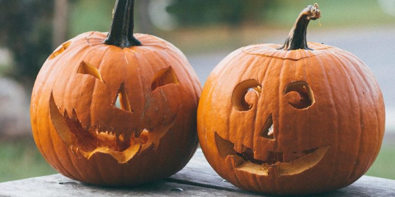 pumkins_bekir-donmez-unsplash pumkins_bekir-donmez-unsplash