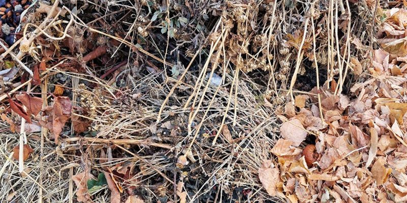 3-800x600px-gardenize-kompost-mit-blatter 3-800x600px-gardenize-kompost-mit-blatter