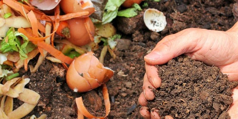 4-800x600px-gardenize-fertiger-kompost 4-800x600px-gardenize-fertiger-kompost